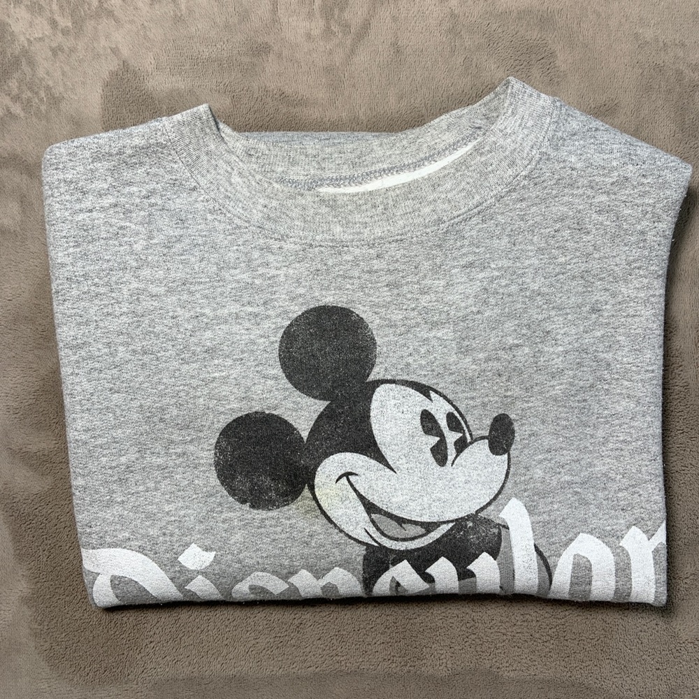 Disneyland Sweater ( Large)